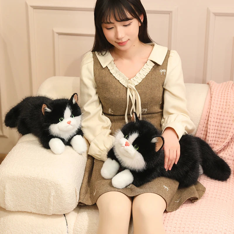 Chubby Fluffy Cat Plush Toy