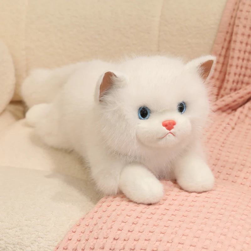 Chubby Fluffy Cat Plush Toy