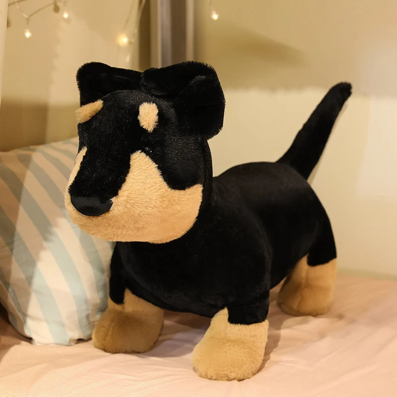 Black and Tan Dachshund Plush Toy