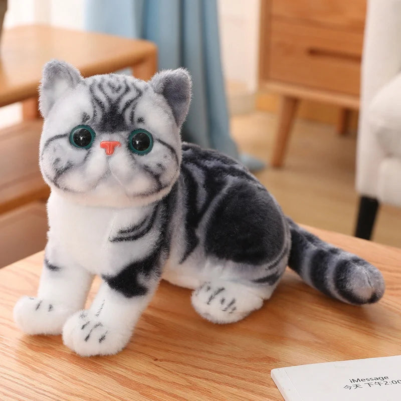 Chubby Big-Eyed Plush Cat Toy