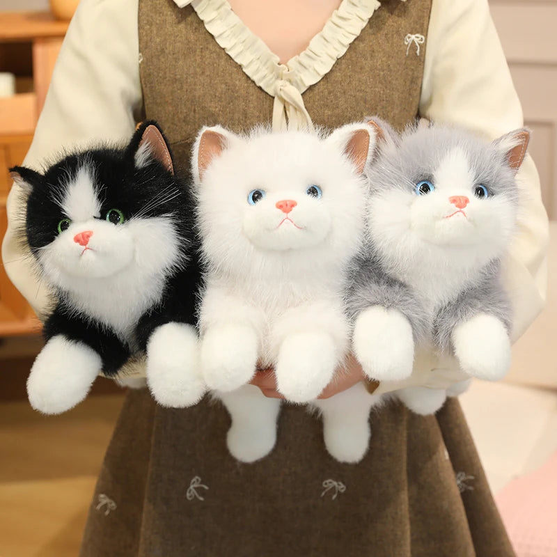 Chubby Fluffy Cat Plush Toy