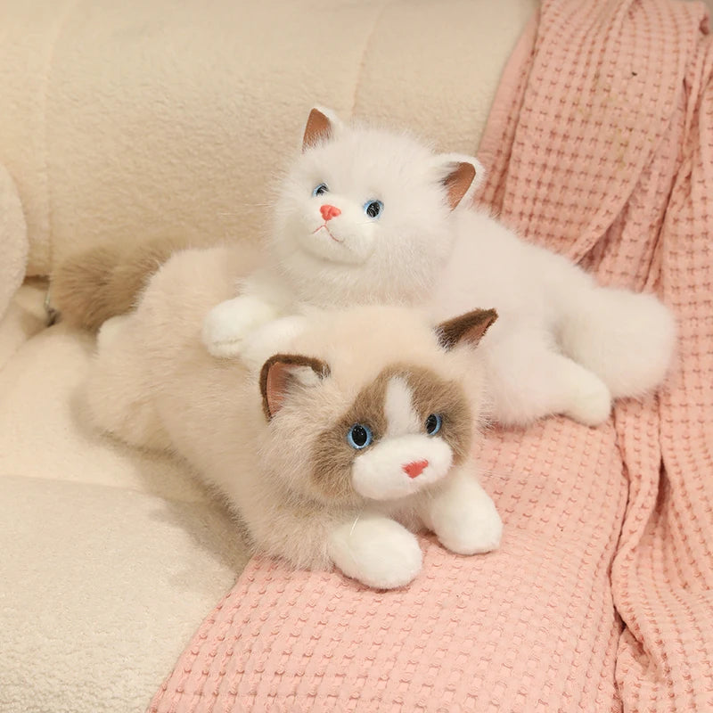 Chubby Fluffy Cat Plush Toy