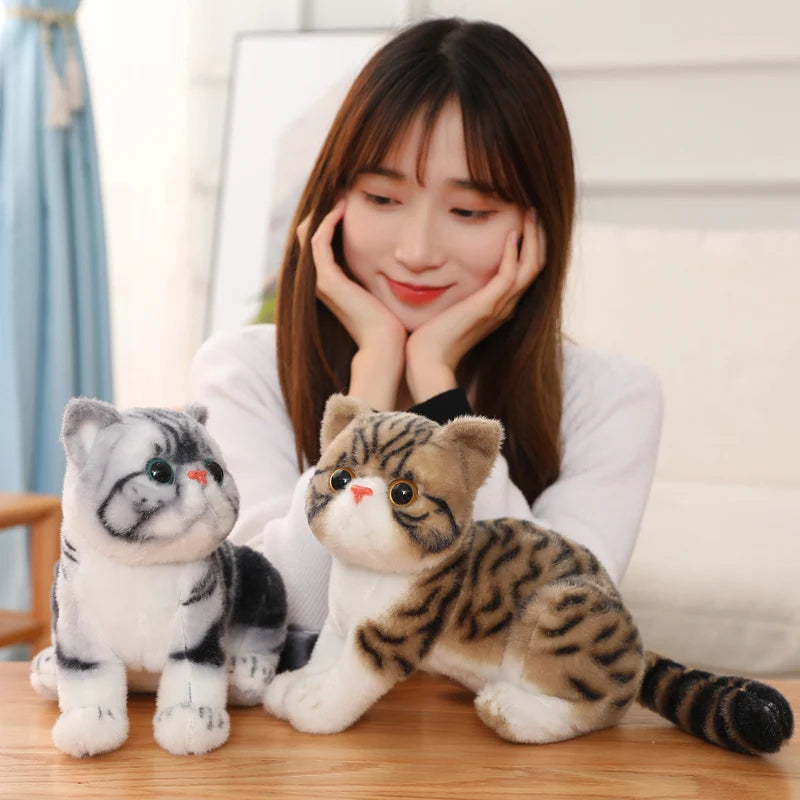 Chubby Big-Eyed Plush Cat Toy