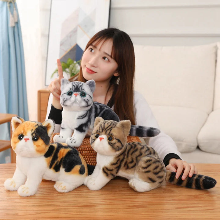 Chubby Big-Eyed Plush Cat Toy