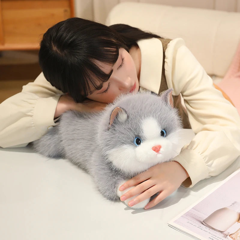 Chubby Fluffy Cat Plush Toy