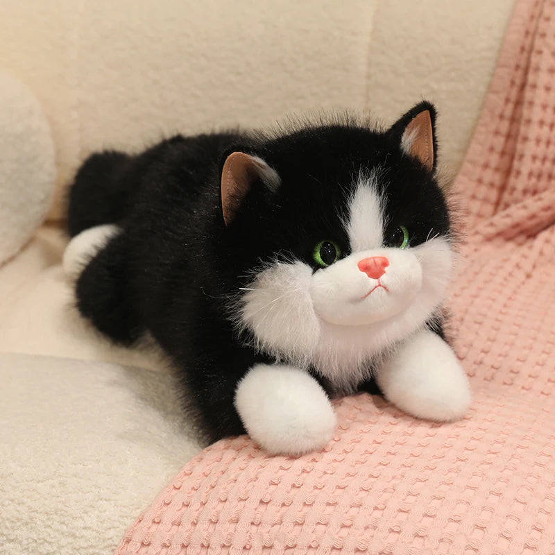 Chubby Fluffy Cat Plush Toy