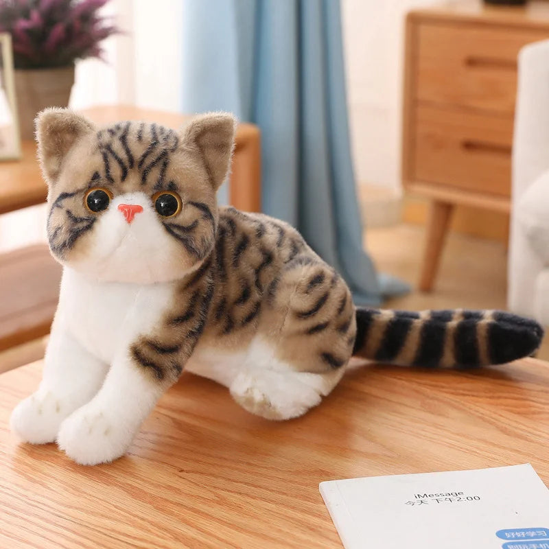 Chubby Big-Eyed Plush Cat Toy