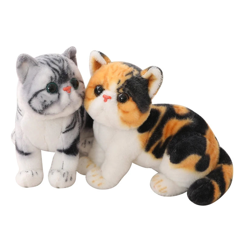 Chubby Big-Eyed Plush Cat Toy