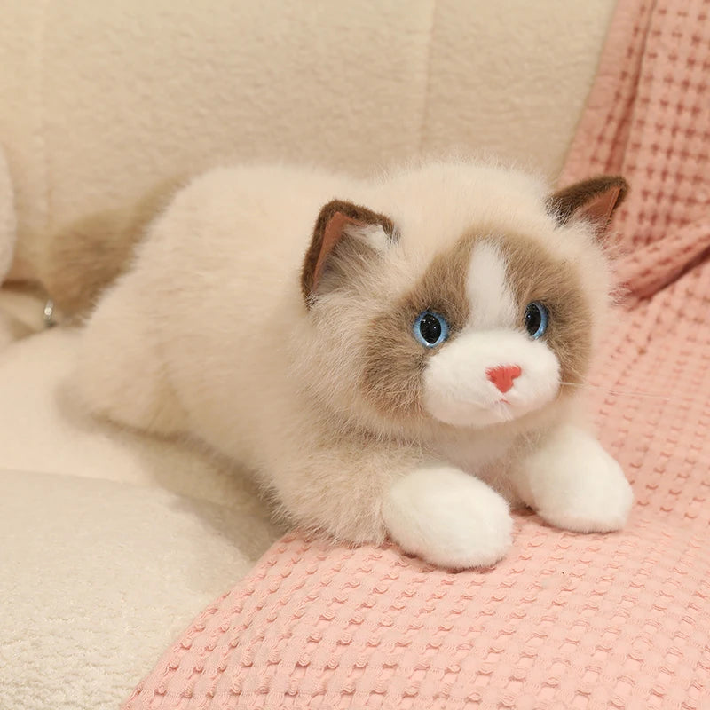 Chubby Fluffy Cat Plush Toy