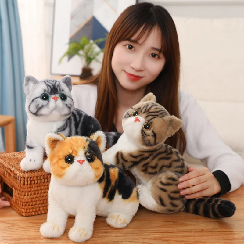 Chubby Big-Eyed Plush Cat Toy