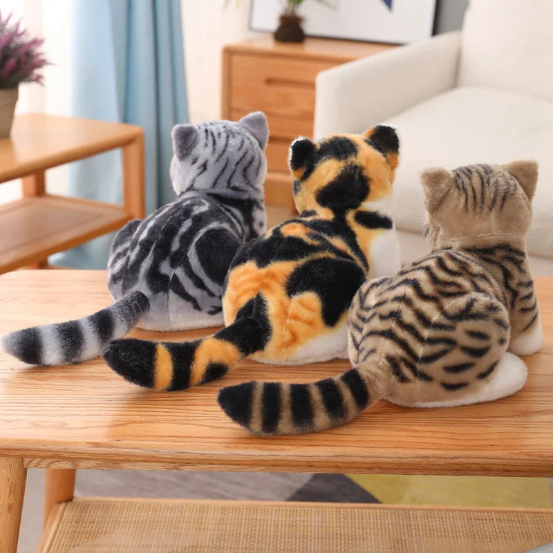 Chubby Big-Eyed Plush Cat Toy