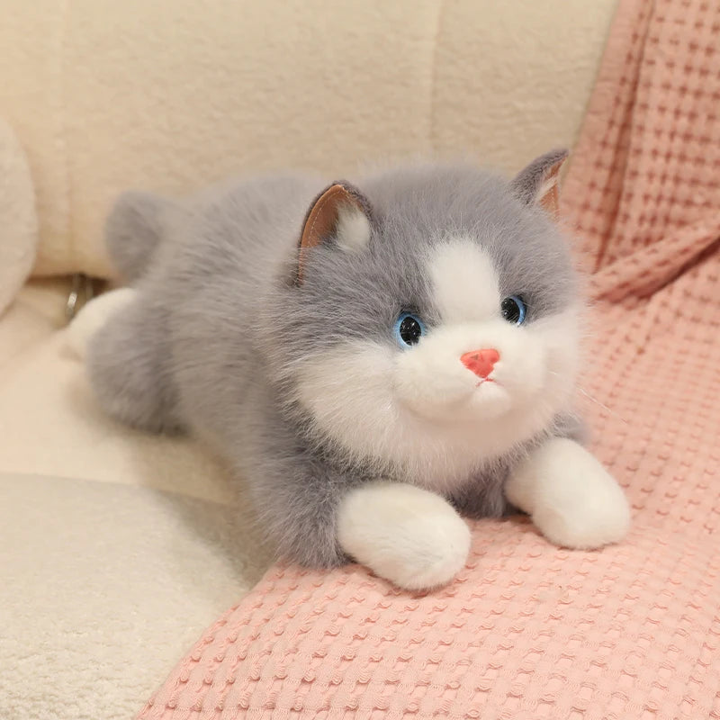 Chubby Fluffy Cat Plush Toy