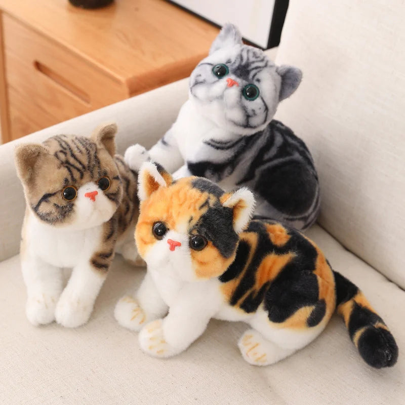 Chubby Big-Eyed Plush Cat Toy