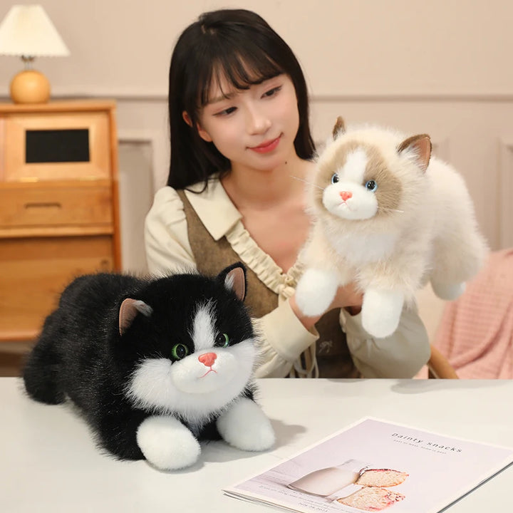 Chubby Fluffy Cat Plush Toy